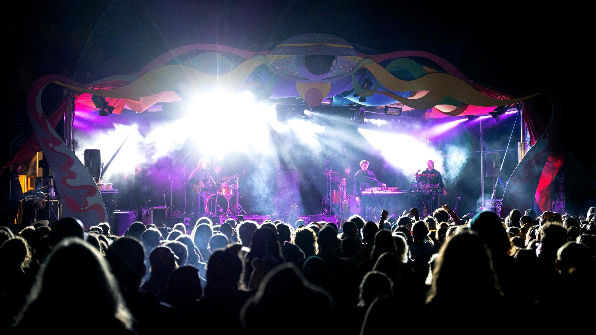 Jungle Love Festival Shot of crowd at night