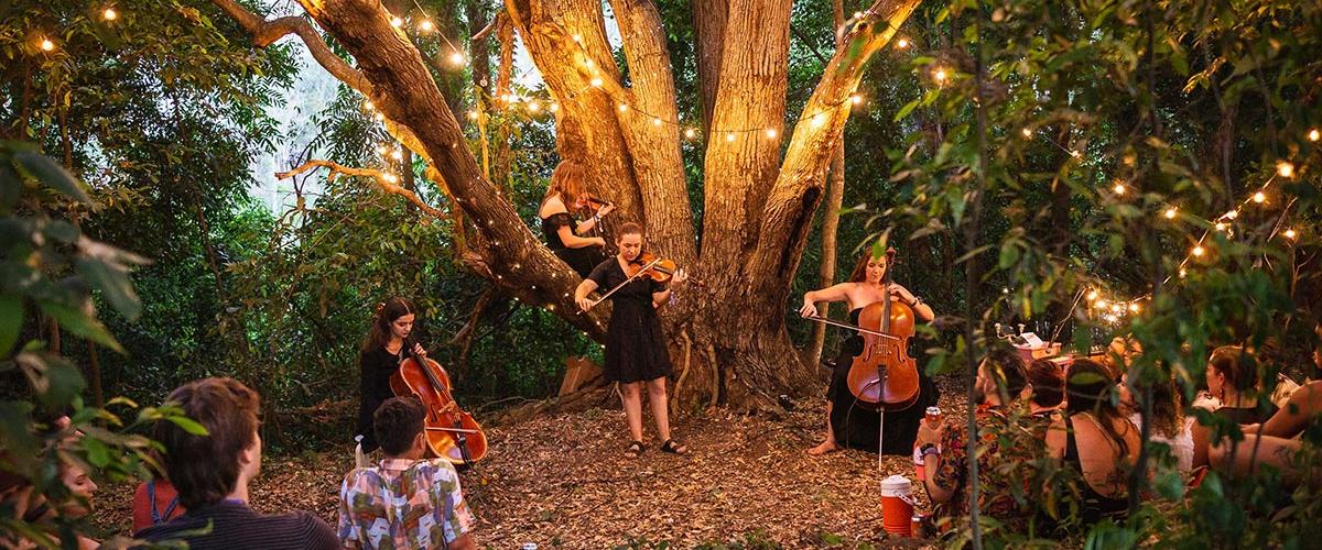Luminescence String quartet playing in the jungle